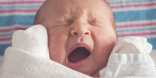 fotos de bebes