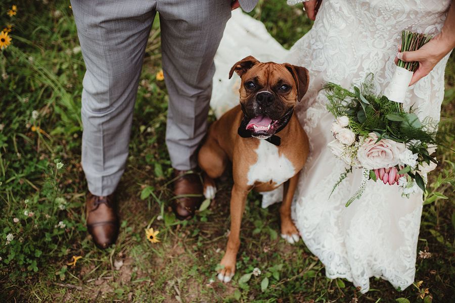 Primer plano de las piernas y los pies de la novia y el novio, con la novia sosteniendo un ramo y su perro entre ellos con la lengua fuera, capturando una idea de foto de boda divertida y original.