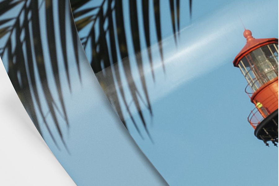 Una foto de una hoja de palmera en papel mate y brillante.