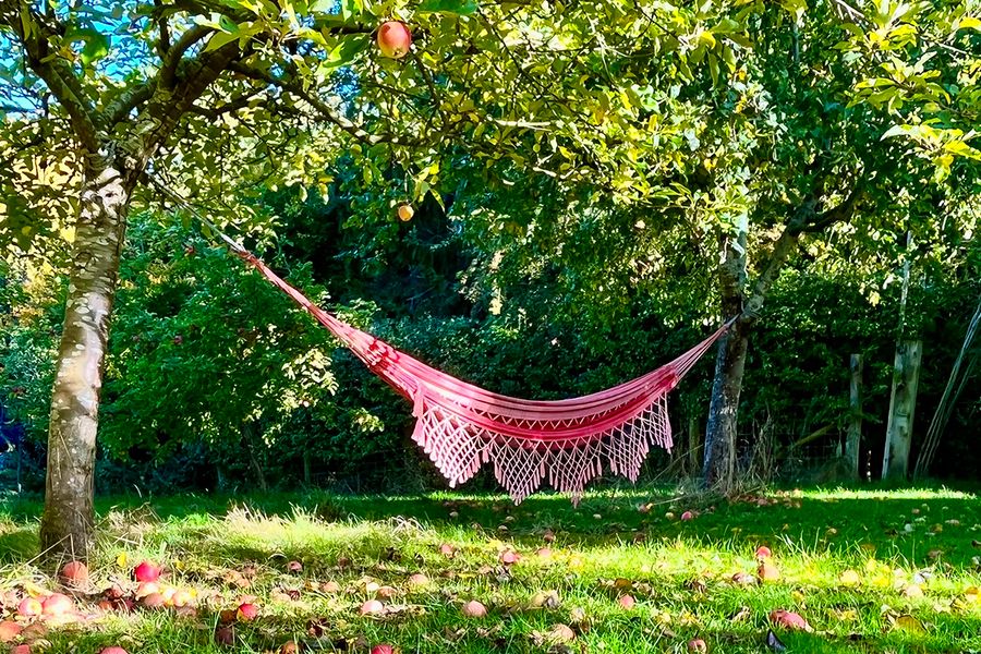 Una hamaca cuelga de un manzano en un jardín, representando las ideas de vacaciones en casa relajantes de Hofmann.