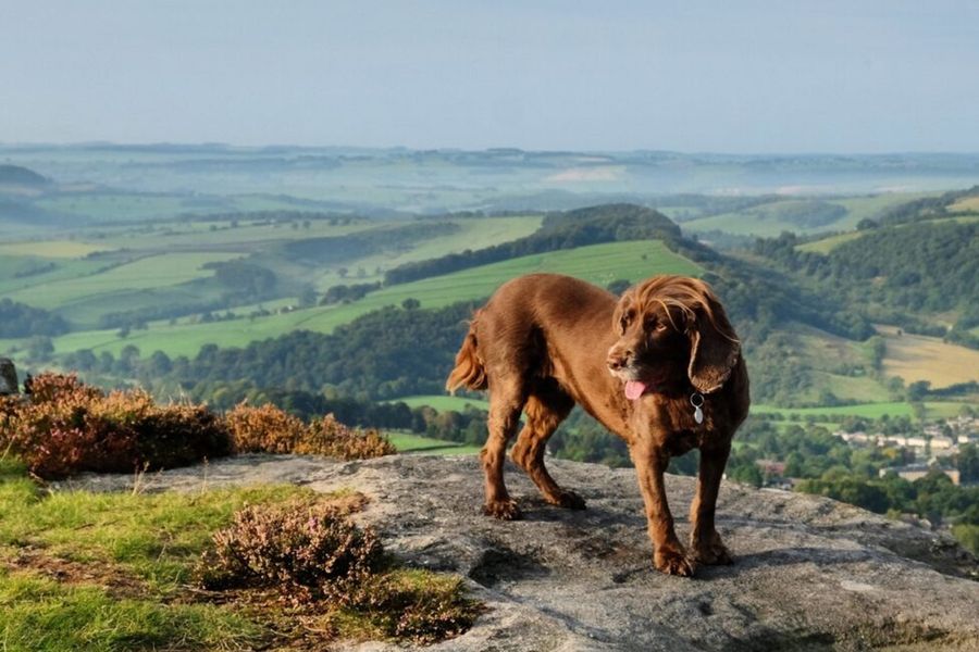 Extensos páramos y encantadores pueblos de piedra en el Parque Nacional de Peak District, en el Reino Unido, uno de los parques más bonitos de Europa incluido en la guía de Hofmann.