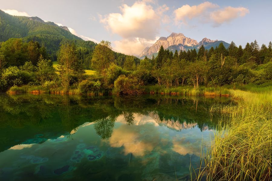 Imponentes picos calizos y las aguas cristalinas y reflejantes del lago Bohinj en el Parque Nacional de Triglav, en Eslovenia, uno de los mejores parques nacionales de Europa incluido en la guía de Hofmann.