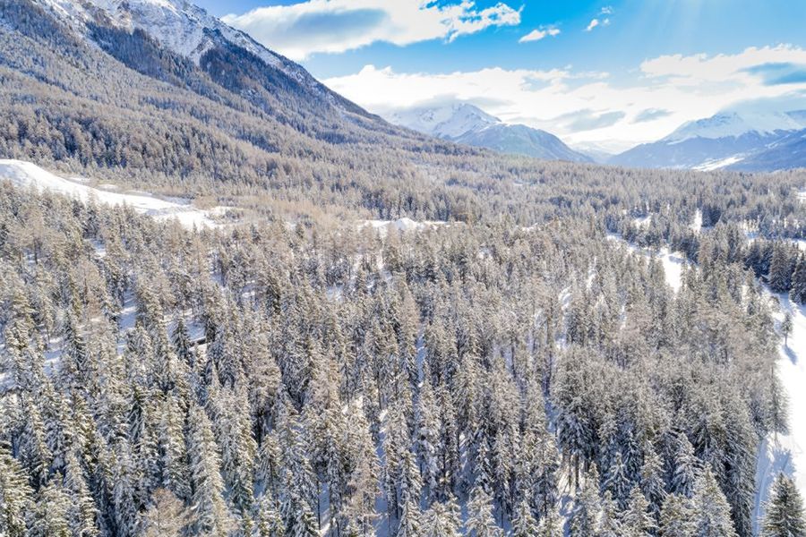 Praderas alpinas llenas de flores y lagos de montaña en el Parc Ela, en Suiza, el mayor parque natural de Suiza y uno de los mejores parques nacionales de Suiza incluido en la guía de Hofmann.