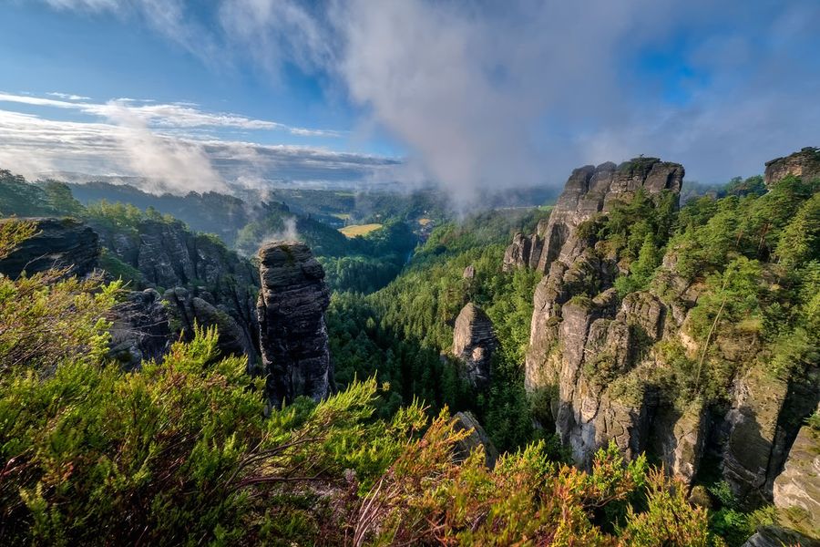 Extraños pilares de arenisca que se elevan sobre bosques verdes y neblinosos cerca del histórico puente de Bastei en el Parque Nacional de la Suiza Sajona, en Alemania, uno de los mejores parques nacionales de Alemania incluido en la guía de Hofmann.