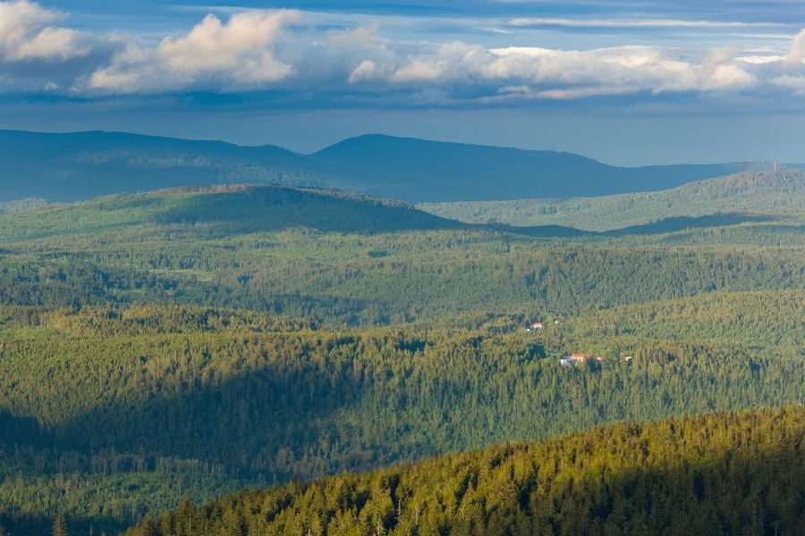 Interminables bosques de pinos y lagos glaciares se extienden por el Parque Nacional de Šumava, en Chequia, a menudo llamado el 