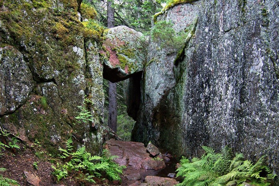 Densos bosques de abetos se encuentran con las costas rocosas del mar Báltico en el Parque Nacional de Skuleskogen, en la Costa Alta de Suecia, uno de los mejores parques nacionales de Europa incluido en la guía de Hofmann.