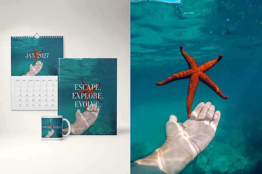 Un álbum de fotos, una taza y un calendario con el diseño Endless Escape de Hofmann, con una imagen de una mano que se acerca a una estrella de mar bajo el agua, ideal para vacaciones en la playa y viajes de isla en isla.