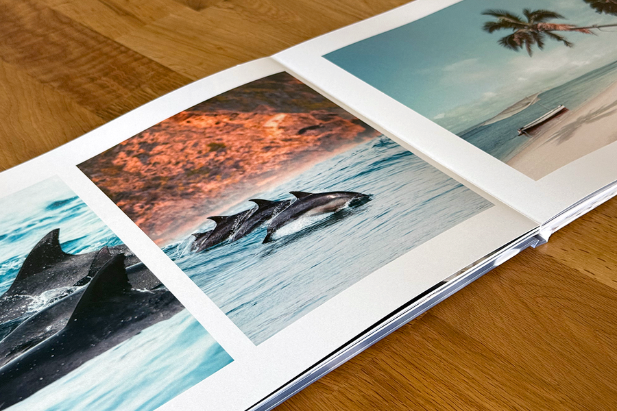 Una doble página abierta del álbum de fotos de Charl van Rooy muestra imágenes tropicales, incluyendo delfines nadando y una escena de playa tropical, ilustrando la narrativa visual de su portafolio fotográfico.