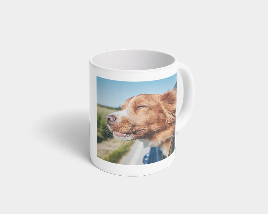 Una taza con foto con la imagen de un perro