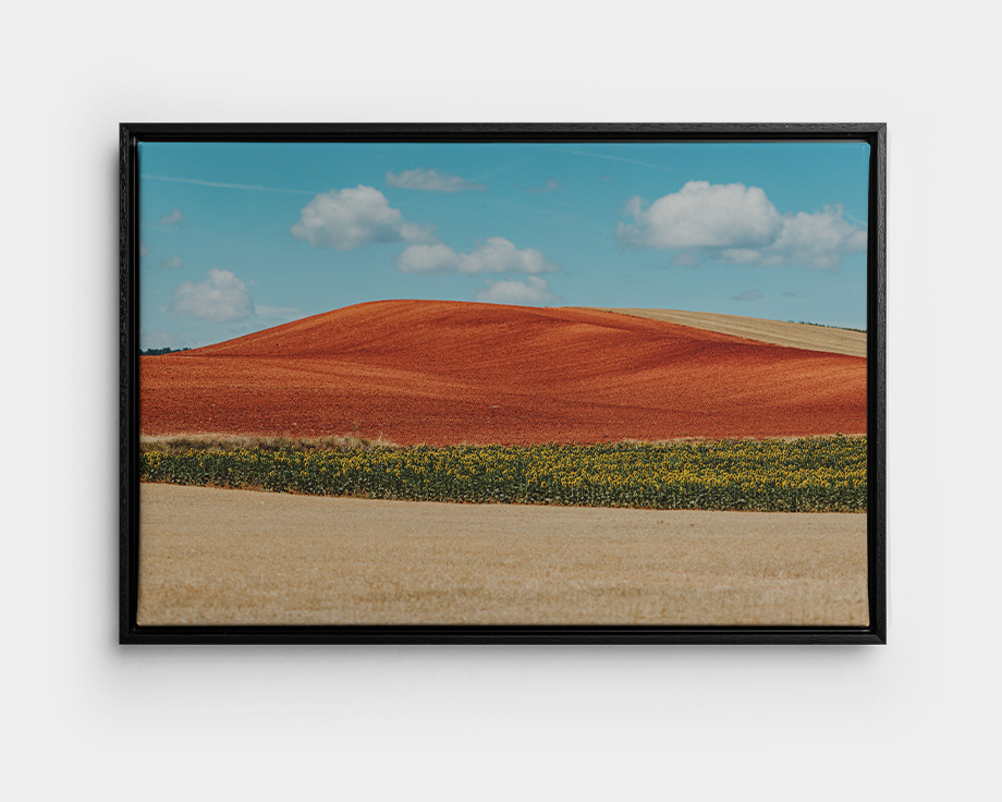 Un lienzo enmarcado con la imagen de un paisaje veraniego