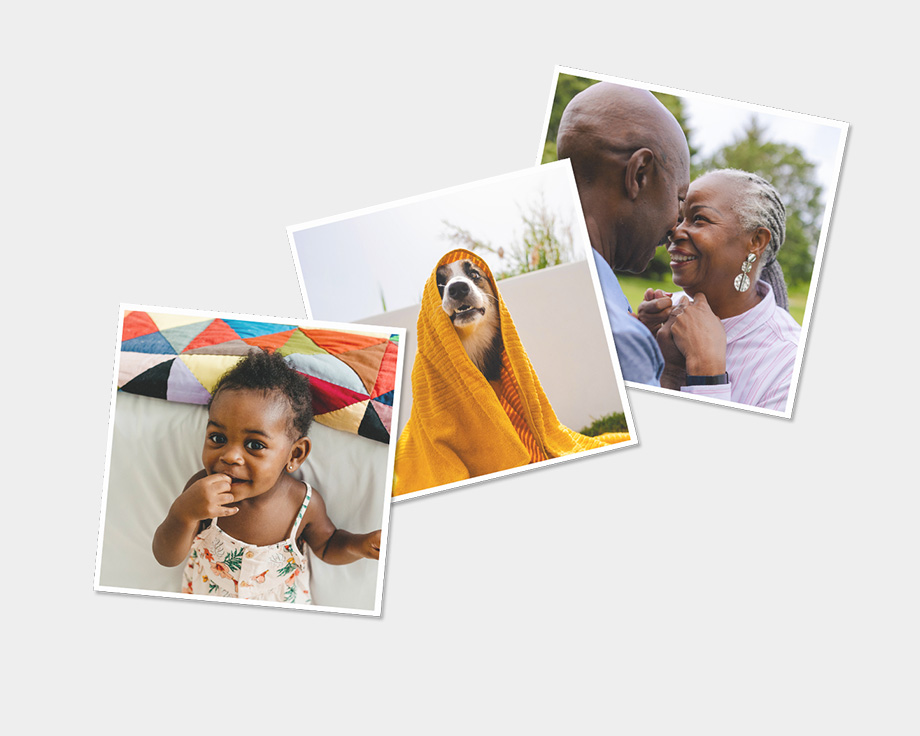 Tres imanes con fotos de un perro y su familia