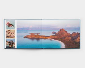 Fotos en páginas de un álbum apaisado de apertura plana