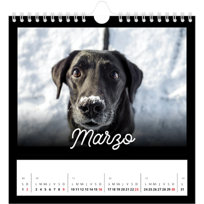 Calendarios Cuadrados — Negro minimalista [Marzo]