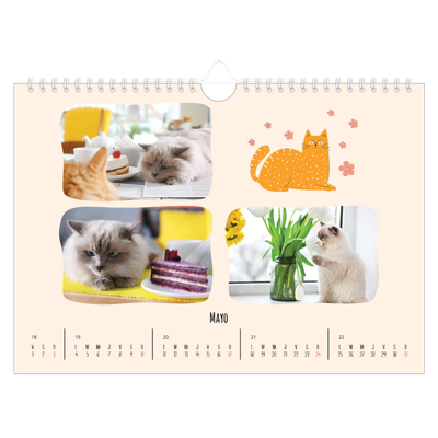 Calendario A4 horizontal — Gatos y garabatos [portada]