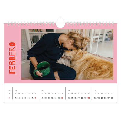 Calendario A4 horizontal — Divertido y colorido [Febrero]