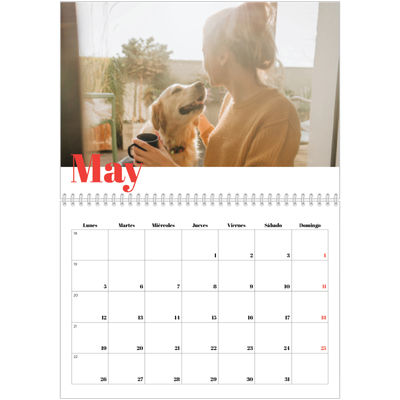 Calendario personalizado doble A4 — Un año genial [portada]
