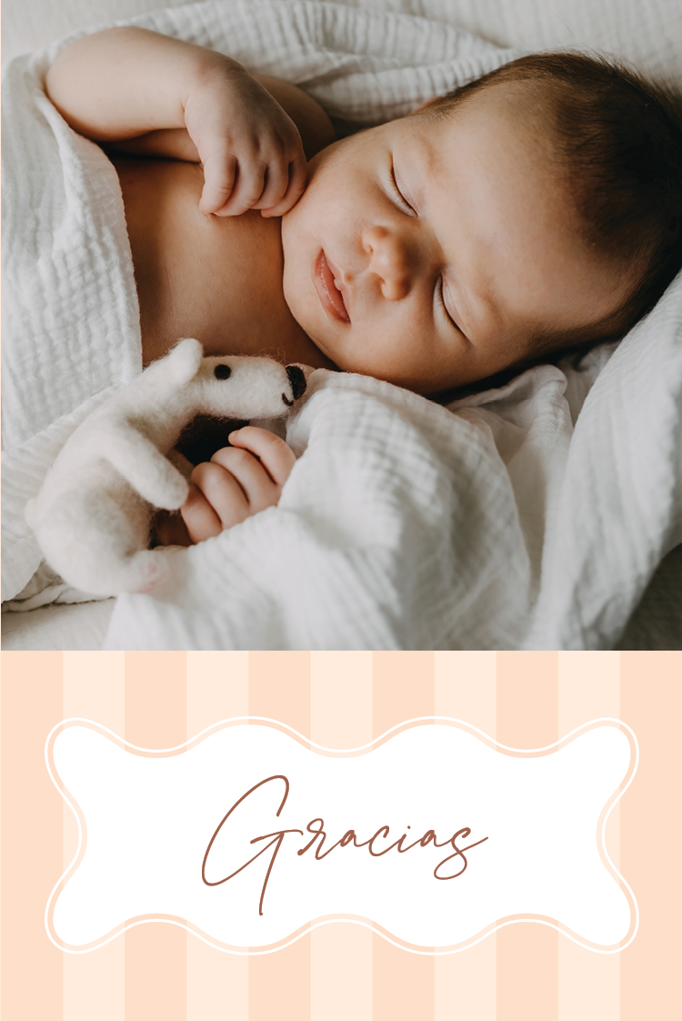 Tarjetas de agradecimiento — Vieiras pastel