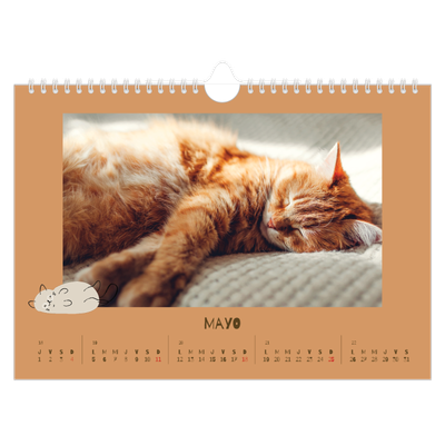 Calendario A4 horizontal — Gatito juguetón [portada]