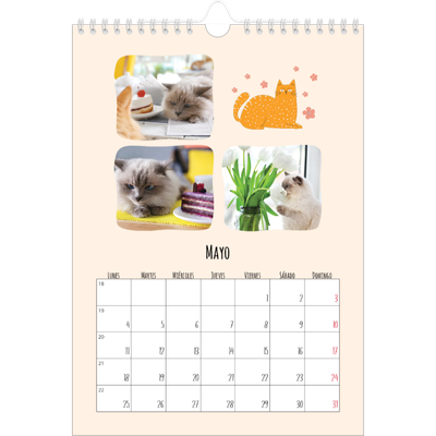 Calendario personalizado A4 — Gatos y garabatos [portada]