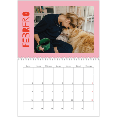Calendario personalizado doble A4 — Divertido y colorido [Febrero]
