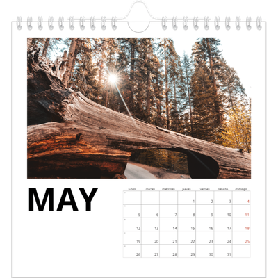 Calendarios Cuadrados — White space [portada]