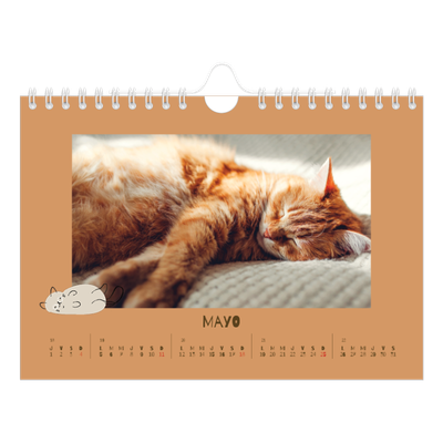 Calendario personalizado A5 — Gatito juguetón [portada]