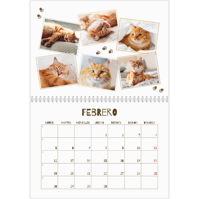 Calendario personalizado doble A4 — Gatito juguetón [Febrero]