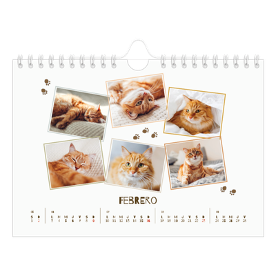 Calendario personalizado A5 — Gatito juguetón [Febrero]