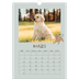 Calendarios A3 — Cachorro juguetón [Marzo]