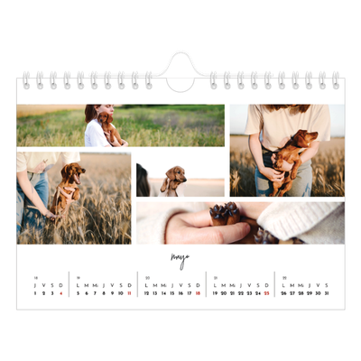 Calendario personalizado A5 — Disposición de fotos [portada]
