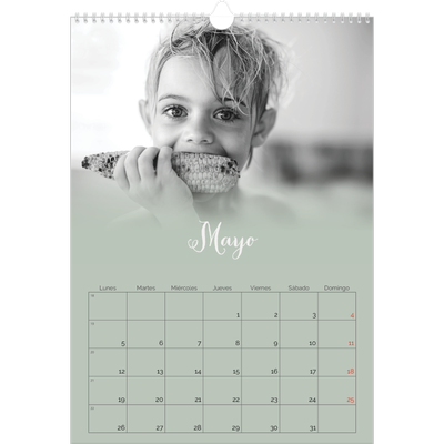 Calendarios A3 — Verde bruma [portada]