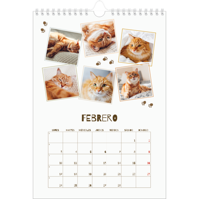 Calendario personalizado A4 — Gatito juguetón [Febrero]