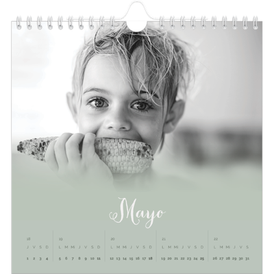 Calendarios Cuadrados — Verde bruma [portada]