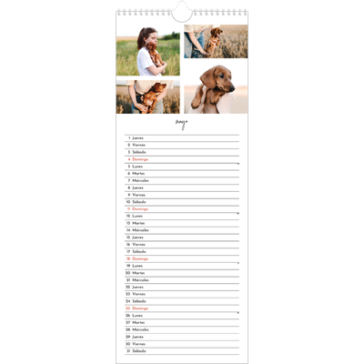 Calendario de cocina  — Disposición de fotos [portada]