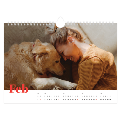 Calendario A4 horizontal — Un año genial [Febrero]