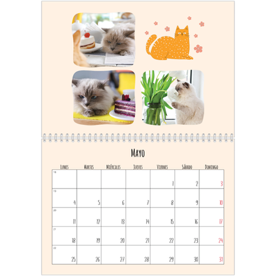 Calendario personalizado doble A4 — Gatos y garabatos [portada]