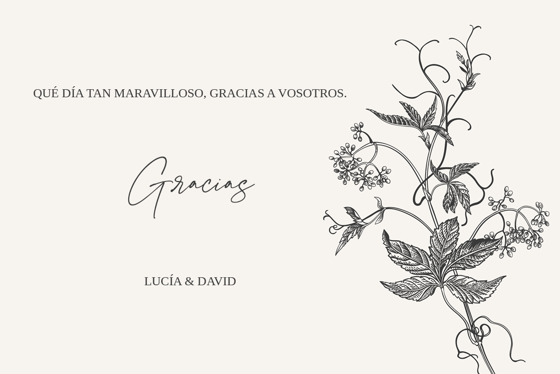 Tarjetas de agradecimiento — Tinta y hiedra