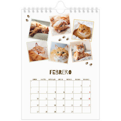 Calendario personalizado A5 — Gatito juguetón [Febrero]