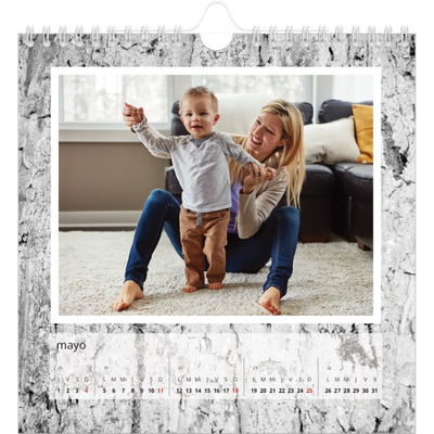 Calendarios Cuadrados — Corteza de árbol [portada]