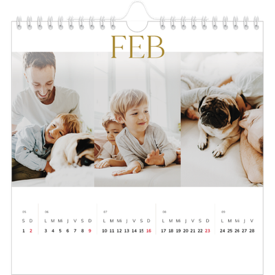 Calendarios Cuadrados — Texto dorado grande [Febrero]