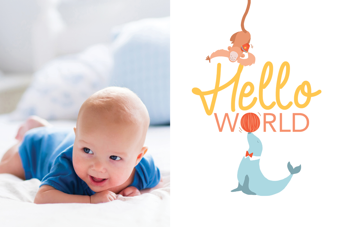 Invitaciones — Animales juguetones