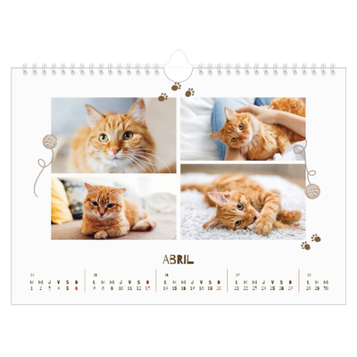 Calendario A4 horizontal — Gatito juguetón [Abril]