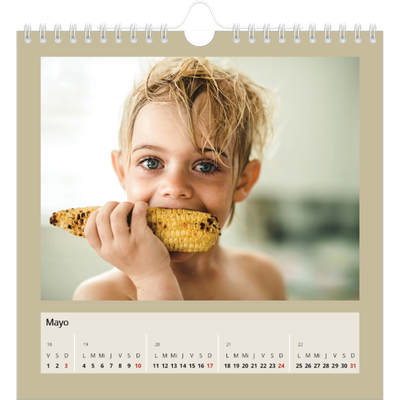 Calendarios Cuadrados — Colores de la tierra [portada]