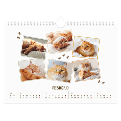 Calendario A4 horizontal — Gatito juguetón [Febrero]