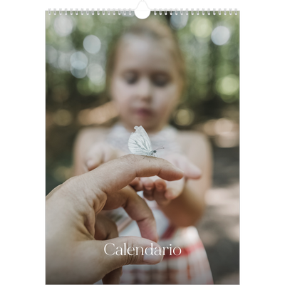 Calendarios A3 — Doce grandes meses [portada]