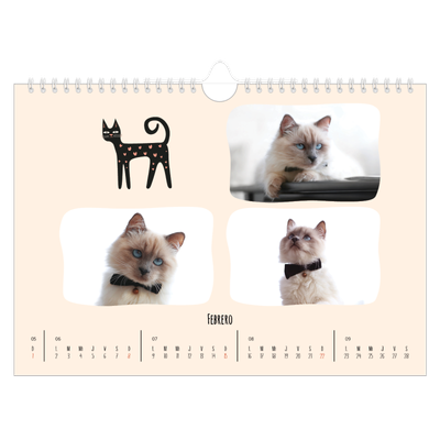 Calendario A4 horizontal — Gatos y garabatos [Febrero]