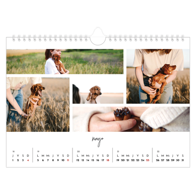 Calendario A4 horizontal — Disposición de fotos [portada]