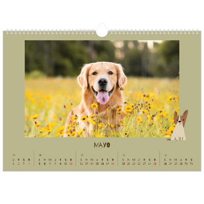 Calendario A3 horizontal — Cachorro juguetón [portada]