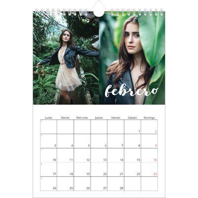 Calendario personalizado A4 — Guión sencillo [Febrero]