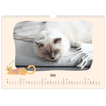 Calendario personalizado A3 horizontal  — Gatos y garabatos